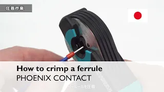 How to crimp a ferrule