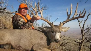 236" Monster Henry Mountains Mule Deer Hunt - Mike Kinney - MossBack