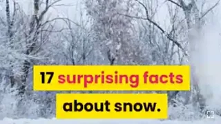 17 surprising facts about snow