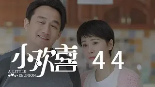 小歡喜 44 | A Little Reunion 44（黃磊、海清、陶虹等主演）