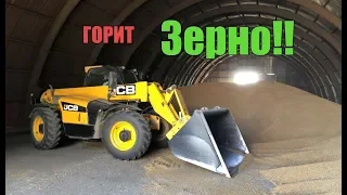 ГОРИТ зерно!!