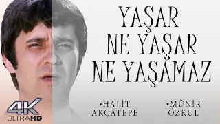 Yaşar Ne Yaşar Ne Yaşamaz Türk Filmi | 4K ULTRA HD | HALİT AKÇATEPE