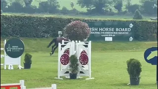 Mr Connery B standing at Belmont House Stud, Ireland