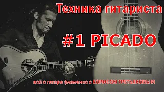 #1Пикадо. Упражнения гитариста фламенко
