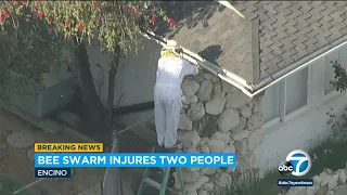 Bee swarm in Encino leaves two people injured