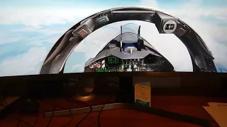 49" Ultrawide playing DCS with TrackIR