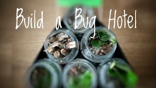 Children's Activities: Build a Bug Hotel with Barry
