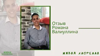 Живая хлорелла отзывы Романа Валиуллина