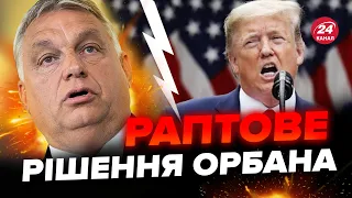 Таємний план Угорщини. ОРБАН зібрався до США: що задумав БУДАПЕШТ?