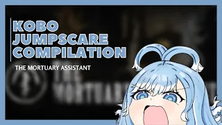 Kobo Jumpscare Compilation ~ The Mortuary Assistant Demo