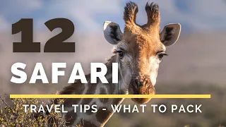 12 Travel Tips - What to pack for your Wildlife Safari