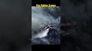 Fire Fighter Cranes