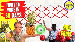 Fruit to Wine in 30 Days - The Only Wine Recipe You Ever Need - Pineapple Wine or any Fruit