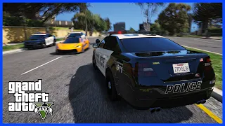 NEJVĚTŠÍ POLICEJNÍ HONIČKA NA ČESKÉM FIVEM SERVERU! 🚔 (GTA 5 FiveM)