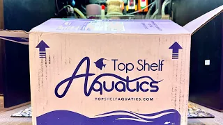 Initial Reaction: Coral Order From Top Shelf Aquatics