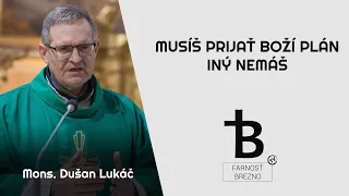 Musíš prijať Boží plán; iný nemáš │ o. Dušan Lukáč