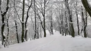 La lac în Noua, Brașov. 7.04. 2021