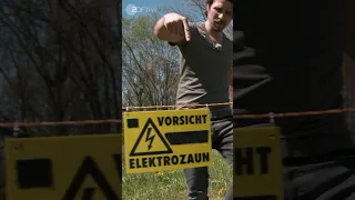 Stromschlag beim Pinkeln. Autsch! | Checkpoint ZDF