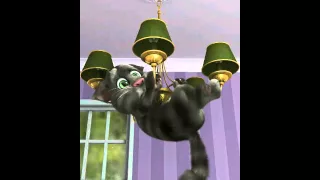 Cat got your Chandelier