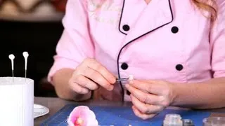 How to Make the Center of a Tulip | Sugar Flowers