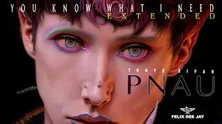 PNAU, Troye Sivan - You Know What I Need (Extended ReTouch by Felix) ⭐️Free Download