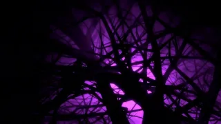 Purple Eerie Fog Trees 4K Halloween Loop 2023 4K Long Screensaver || Wallpaper || Background Video