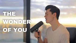 Elvis Presley - The Wonder Of You (Cover by Elliot James Reay)