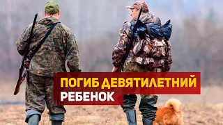 Власти Дагестана направили в Цунтинский район егерей после нападения волков на ребенка