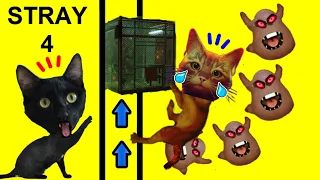Gato vs ELEVADOR EXE en juego Stray con Luna y Estrella los gatitos CAP 4 / Videos de gatos