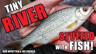 Small River PACKED with Fish!! FREE Winter fishing | Roach fishing with Rob Wootton and Joe Carass