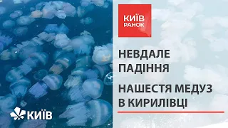 В Кирилівці жінка провалилася в "братську могилу" з медузами