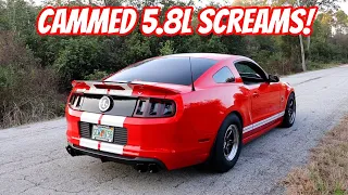 Corsa Xtreme on my Cammed 1300HP GT500