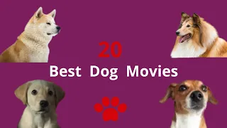 Top 20 Dog Movies & #Show #TV I The 20 #Best #Dog #Movies to #Watch