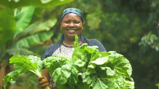 Kenya: Nature Based Solutions