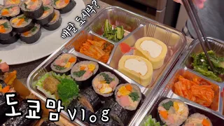 김밥 도시락🍱 마트순회🛒 | 그린카레 만들고, 로미랑 쿠시카츠, 스케이트 첫 체험 ⊂(´• ω •`⊂)💖