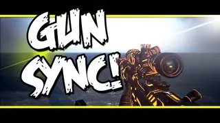 Amazing Black Ops 2 Gun Sync by Faze Camoo - Electro House