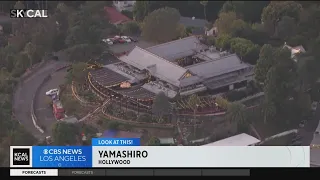 Yamashiro | Look At This!