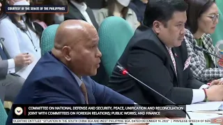 Senator Bato Dela Rosa: We're not pro-China
