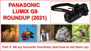 PANASONIC LUMIX G9 ROUNDUP (2021) Part 2: Every function I use and how to set them up.