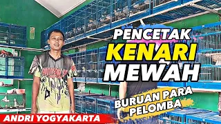 Ring ANDRI YOGYAKARTA‼️Pencetak KENARI MEWAH buruan para PELOMBA BURUNG....