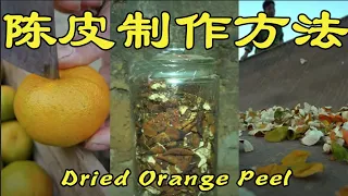 【陈皮】Dried Orange Peel. #Shorts