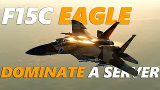 DCS: How to Dominate a server | BVR tactics | Tutorial | Israeli F15C | Digital Combat Simulator