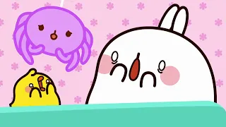 Molang y Piu Piu | La Araña | Dibujos animados para niños | capitulos completos en español