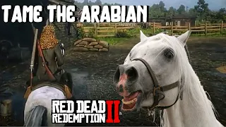 Quickly Tame the Arabian "A One Horse Deal"-Red Dead Online-RDR2