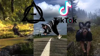 Therian and Quadrobics TikToks || Compilation 🐾🍂 || Alterhumans of TikTok #37