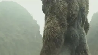 Kong Skull Island The Musical - Live Action