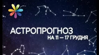 Гороскоп с 11 по 17 декабря от Ольги Стогнушенко – Все буде добре. Выпуск 1137 от 11.12.17