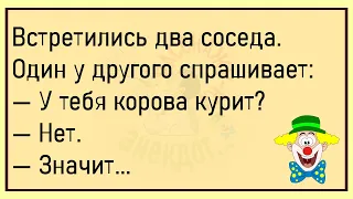 🤡Курица Говорит Петуху...Большой Сборник Весёлых Анекдотов,Для Супер Настроения!