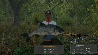 Fishing Planet - Pescuit la Novac si Crap