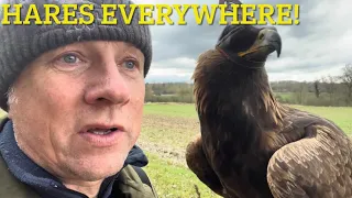 FALCONRY: My LAST Day!